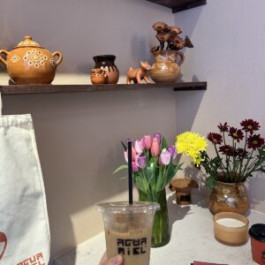 Aguamiel Churros Mexicanos