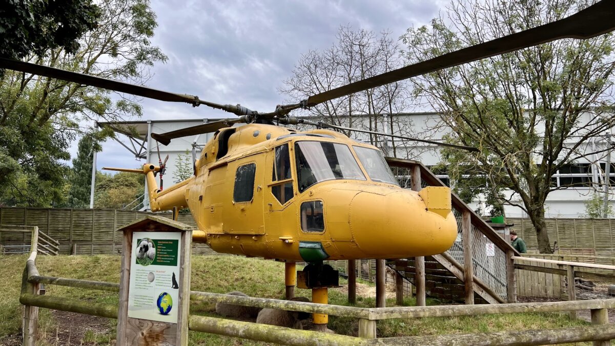 Battersea Park Children's Zoo