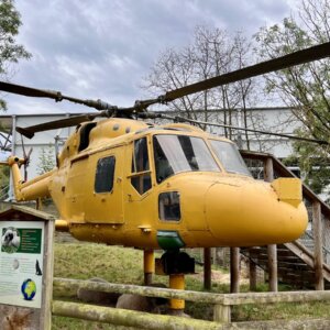 Battersea Park Children's Zoo