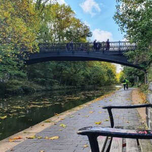 Gorilla Circus Regents Park Flying Trapeze School