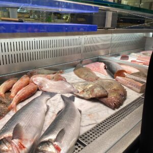 Notting Hill Fish + Meat Shop
