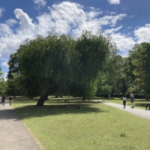 Regent's Park Boating