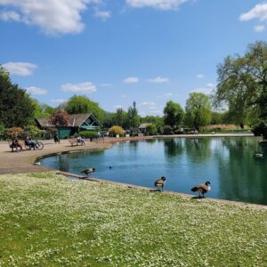 Regent's Park Boating
