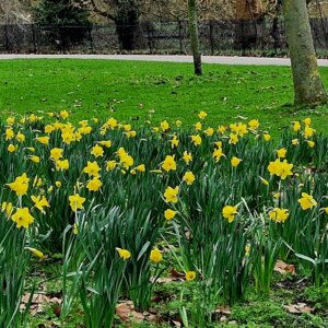Regent's Park Boating