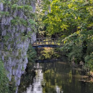 Regent's Park Boating