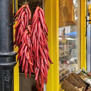 The Spice Shop