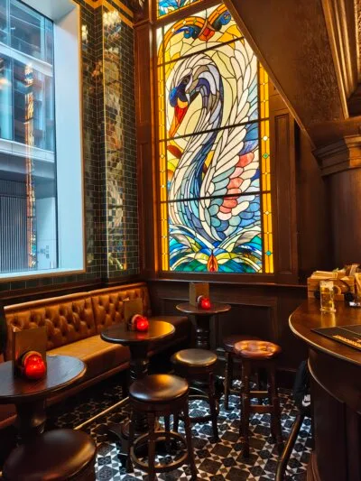 The Wild Swan